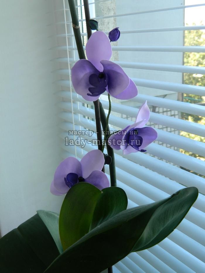 Как сделать орхидею из фоамирана