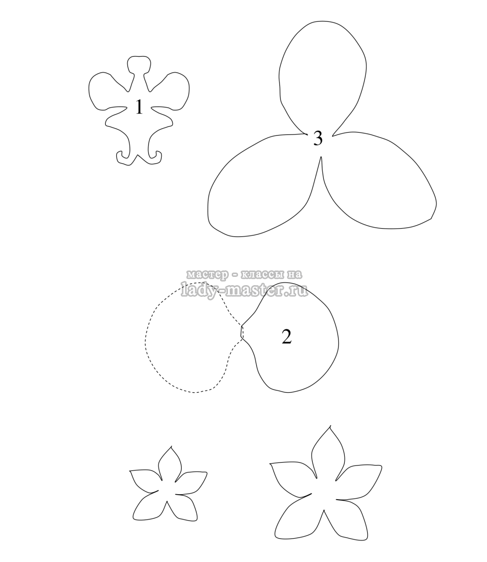 Цветы из фоамирана: 9 схем и шаблонов с фото | Цветы, Поделки, Бумажные розы